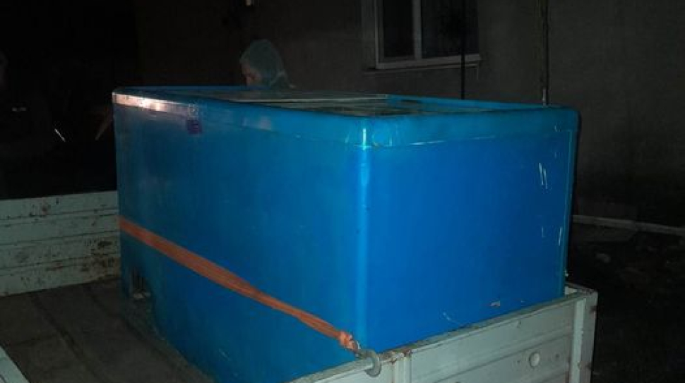 337524675_264763015904404_6362157314826145727_n